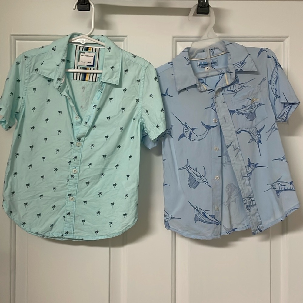 Cactus Boy & Tommy Bahama